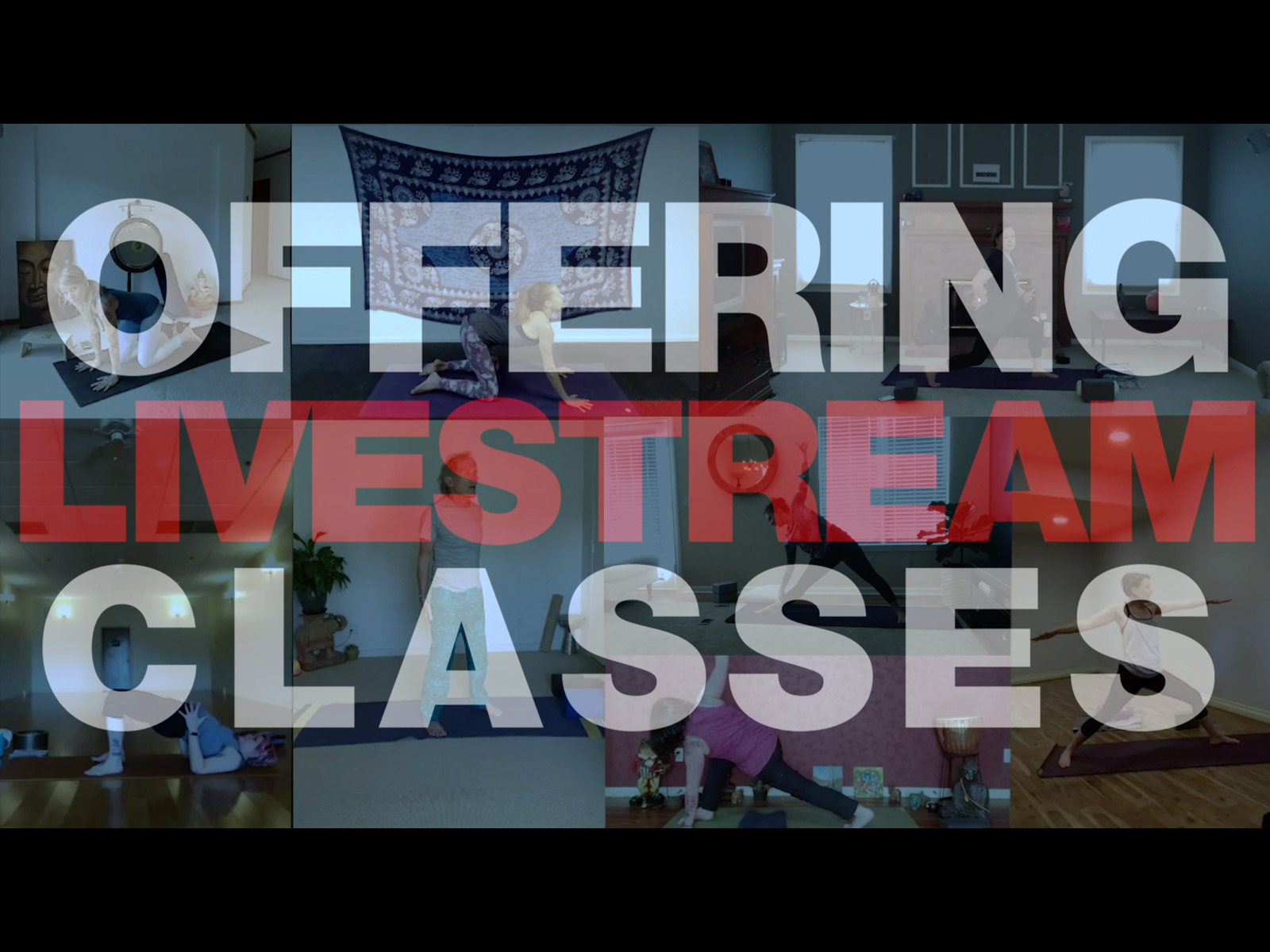 our online classes